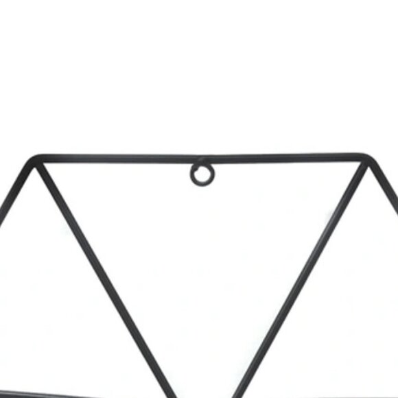 Nobia Black Iron Metal Wall Hanging Dual Planter - Picture 3 of 3